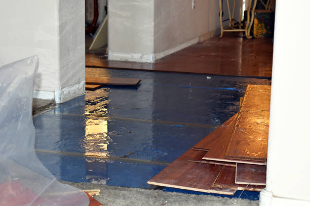 Professional Flood Damage Repair technician working in Williston Park, NY